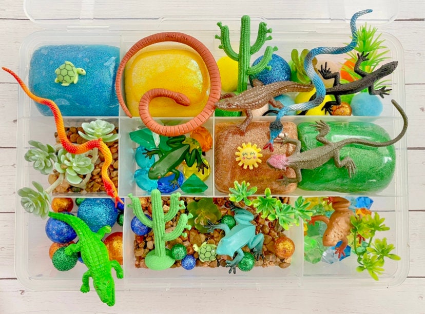 Reptile Play Dough Kit